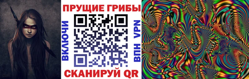 Галлюциногенные грибы Psilocybe  Майский 