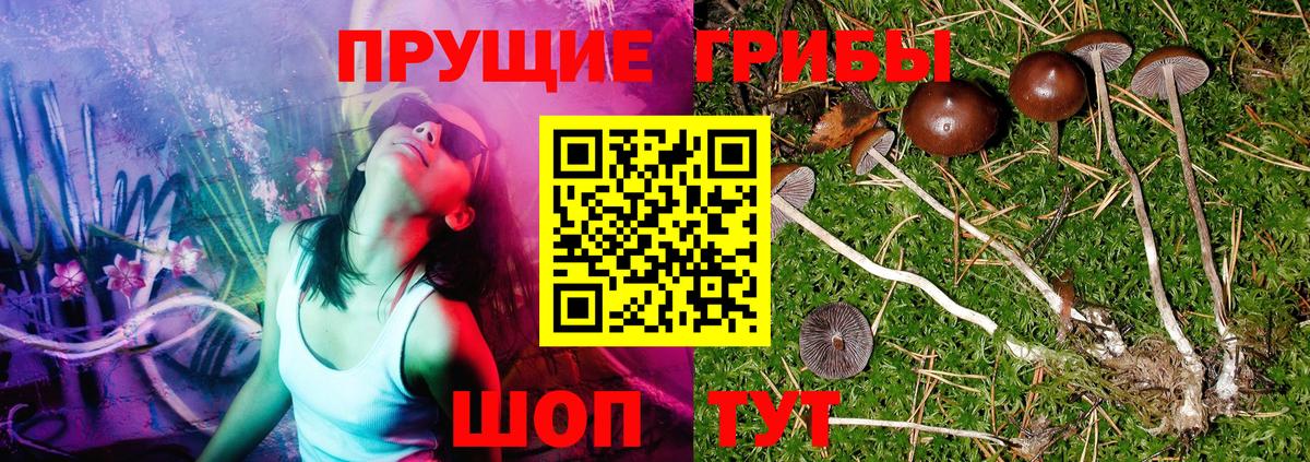 Галлюциногенные грибы MAGIC MUSHROOMS  Псилоцибиновые грибы GOLDEN TEACHER  Майский  Вход с VPN 
